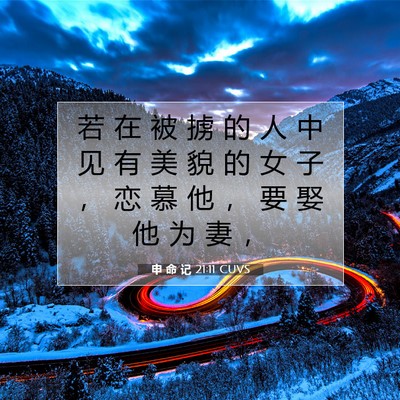 Picture 07 - 申 命 记 21:11 CUVS - 若 在 被 掳 的 人 中 见 有 美 貌 的 - Bible Verse Picture