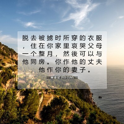 Picture 07 - 申 命 记 21:13 CUVS - 脱 去 被 掳 时 所 穿 的 衣 服 ， 住 - Bible Verse Picture