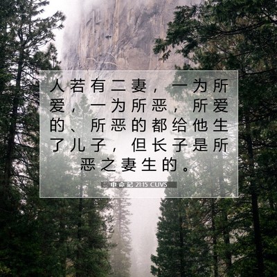 Picture 07 - 申 命 记 21:15 CUVS - 人 若 有 二 妻 ， 一 为 所 爱 ， 一 - Bible Verse Picture