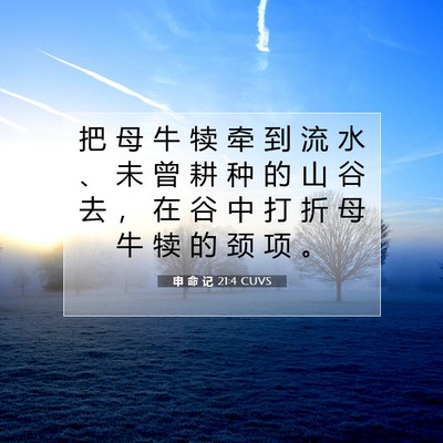Picture 07 - 申 命 记 21:4 CUVS - 把 母 牛 犊 牵 到 流 水 、 未 曾 耕 - Bible Verse Picture
