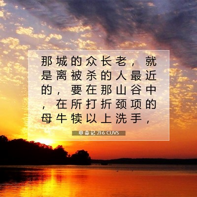 Picture 07 - 申 命 记 21:6 CUVS - 那 城 的 众 长 老 ， 就 是 离 被 杀 - Bible Verse Picture
