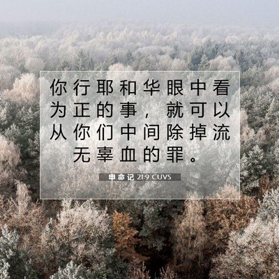 Picture 07 - 申 命 记 21:9 CUVS - 你 行 耶 和 华 眼 中 看 为 正 的 事 - Bible Verse Picture