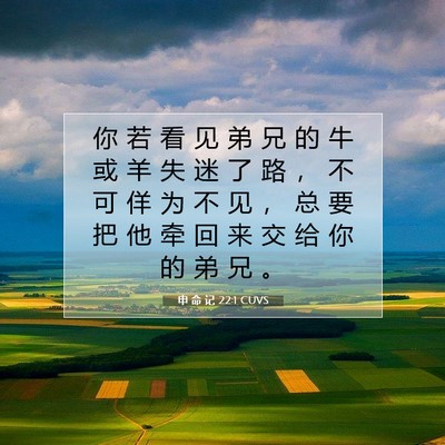 Picture 07 - 申 命 记 22:1 CUVS - 你 若 看 见 弟 兄 的 牛 或 羊 失 迷 - Bible Verse Picture