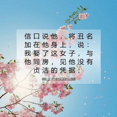 Picture 07 - 申 命 记 22:14 CUVS - 信 口 说 他 ， 将 丑 名 加 在 他 身 - Bible Verse Picture