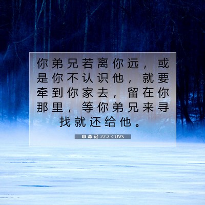 Picture 07 - 申 命 记 22:2 CUVS - 你 弟 兄 若 离 你 远 ， 或 是 你 不 - Bible Verse Picture