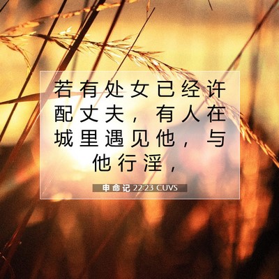 Picture 07 - 申 命 记 22:23 CUVS - 若 有 处 女 已 经 许 配 丈 夫 ， 有 - Bible Verse Picture