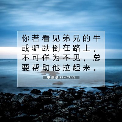 Picture 07 - 申 命 记 22:4 CUVS - 你 若 看 见 弟 兄 的 牛 或 驴 跌 倒 - Bible Verse Picture