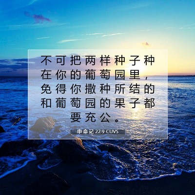 Picture 07 - 申 命 记 22:9 CUVS - 不 可 把 两 样 种 子 种 在 你 的 葡 - Bible Verse Picture