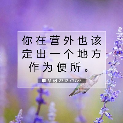 Picture 07 - 申 命 记 23:12 CUVS - 你 在 营 外 也 该 定 出 一 个 地 方 - Bible Verse Picture