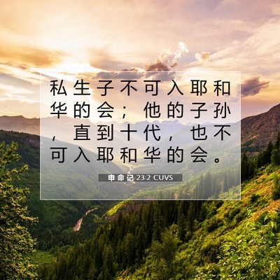 Picture 07 - 申 命 记 23:2 CUVS - 私 生 子 不 可 入 耶 和 华 的 会 ； - Bible Verse Picture