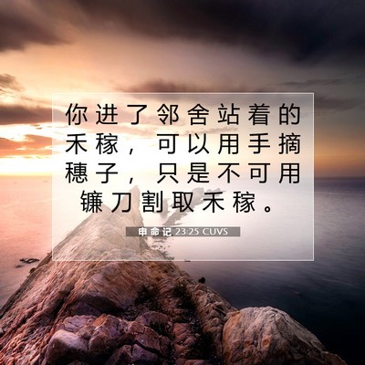 Picture 07 - 申 命 记 23:25 CUVS - 你 进 了 邻 舍 站 着 的 禾 稼 ， 可 - Bible Verse Picture