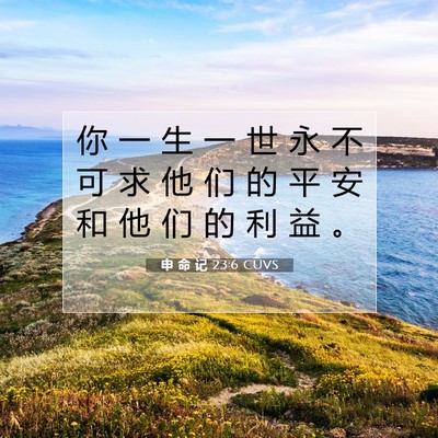 Picture 07 - 申 命 记 23:6 CUVS - 你 一 生 一 世 永 不 可 求 他 们 的 - Bible Verse Picture