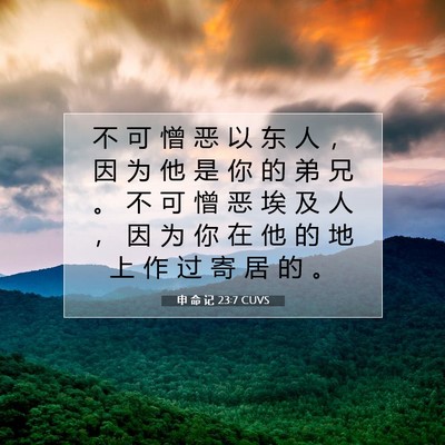 Picture 07 - 申 命 记 23:7 CUVS - 不 可 憎 恶 以 东 人 ， 因 为 他 是 - Bible Verse Picture