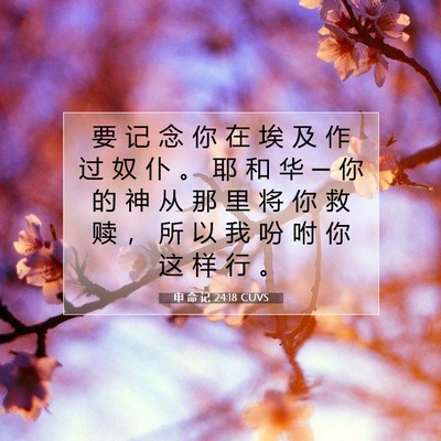 Picture 07 - 申 命 记 24:18 CUVS - 要 记 念 你 在 埃 及 作 过 奴 仆 。 - Bible Verse Picture