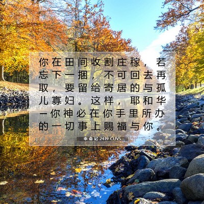 Picture 07 - 申 命 记 24:19 CUVS - 你 在 田 间 收 割 庄 稼 ， 若 忘 下 - Bible Verse Picture