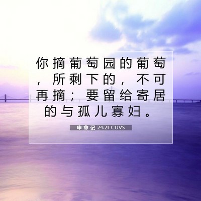 Picture 07 - 申 命 记 24:21 CUVS - 你 摘 葡 萄 园 的 葡 萄 ， 所 剩 下 - Bible Verse Picture