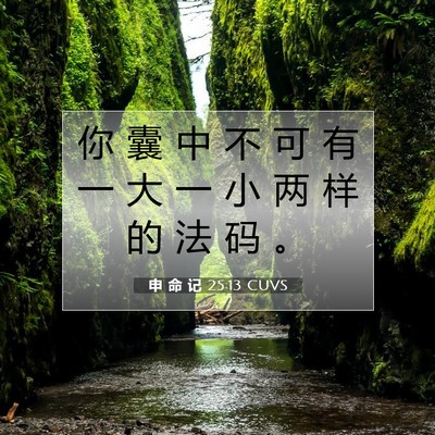 Picture 07 - 申 命 记 25:13 CUVS - 你 囊 中 不 可 有 一 大 一 小 两 样 - Bible Verse Picture