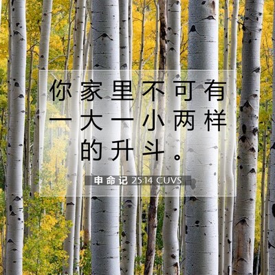 Picture 07 - 申 命 记 25:14 CUVS - 你 家 里 不 可 有 一 大 一 小 两 样 - Bible Verse Picture