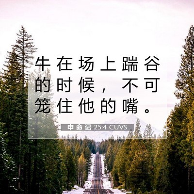 Picture 07 - 申 命 记 25:4 CUVS - 牛 在 场 上 踹 谷 的 时 候 ， 不 可 - Bible Verse Picture
