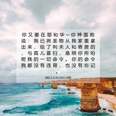 Picture 07 - 申 命 记 26:13 CUVS - 你 又 要 在 耶 和 华 ─ 你 神 面 前 - Bible Verse Picture