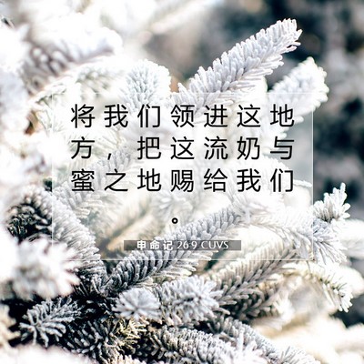 Picture 07 - 申 命 记 26:9 CUVS - 将 我 们 领 进 这 地 方 ， 把 这 流 - Bible Verse Picture