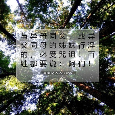 Picture 07 - 申 命 记 27:22 CUVS - 与 异 母 同 父 ， 或 异 父 同 母 的 - Bible Verse Picture