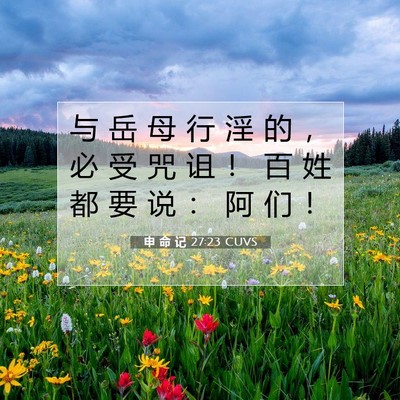 Picture 07 - 申 命 记 27:23 CUVS - 与 岳 母 行 淫 的 ， 必 受 咒 诅 ！ - Bible Verse Picture