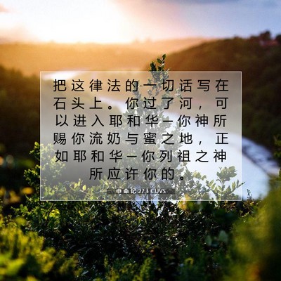 Picture 07 - 申 命 记 27:3 CUVS - 把 这 律 法 的 一 切 话 写 在 石 头 - Bible Verse Picture