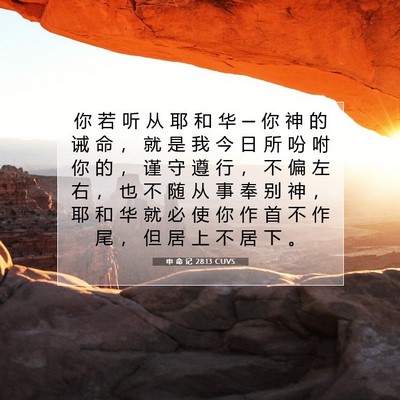 Picture 07 - 申 命 记 28:13 CUVS - 你 若 听 从 耶 和 华 ─ 你 神 的 诫 - Bible Verse Picture