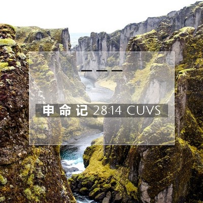 Picture 07 - 申 命 记 28:14 CUVS -  - Bible Verse Picture