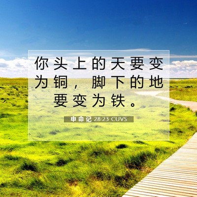 Picture 07 - 申 命 记 28:23 CUVS - 你 头 上 的 天 要 变 为 铜 ， 脚 下 - Bible Verse Picture