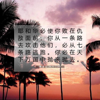 Picture 07 - 申 命 记 28:25 CUVS - 耶 和 华 必 使 你 败 在 仇 敌 面 前 - Bible Verse Picture