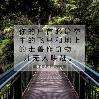 Picture 07 - 申 命 记 28:26 CUVS - 你 的 尸 首 必 给 空 中 的 飞 鸟 和 - Bible Verse Picture