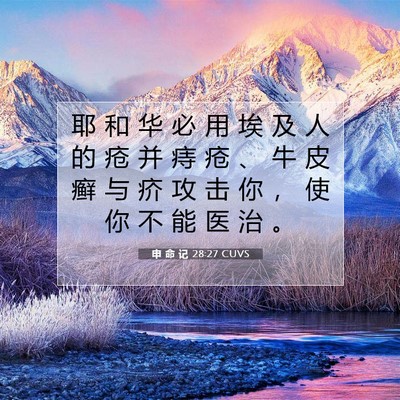 Picture 07 - 申 命 记 28:27 CUVS - 耶 和 华 必 用 埃 及 人 的 疮 并 痔 - Bible Verse Picture