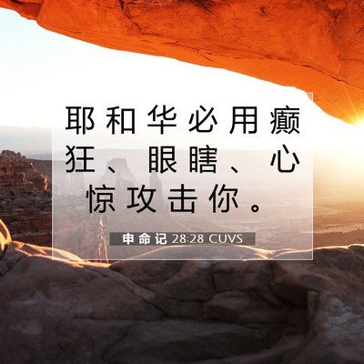 Picture 07 - 申 命 记 28:28 CUVS - 耶 和 华 必 用 癫 狂 、 眼 瞎 、 心 - Bible Verse Picture