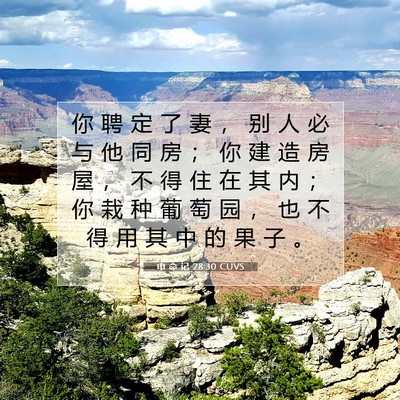 Picture 07 - 申 命 记 28:30 CUVS - 你 聘 定 了 妻 ， 别 人 必 与 他 同 - Bible Verse Picture