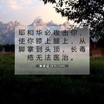 Picture 07 - 申 命 记 28:35 CUVS - 耶 和 华 必 攻 击 你 ， 使 你 膝 上 - Bible Verse Picture