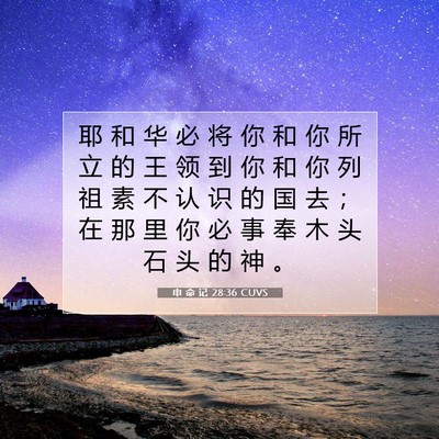 Picture 07 - 申 命 记 28:36 CUVS - 耶 和 华 必 将 你 和 你 所 立 的 王 - Bible Verse Picture