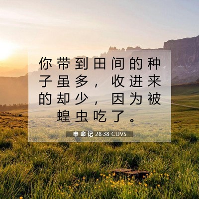 Picture 07 - 申 命 记 28:38 CUVS - 你 带 到 田 间 的 种 子 虽 多 ， 收 - Bible Verse Picture
