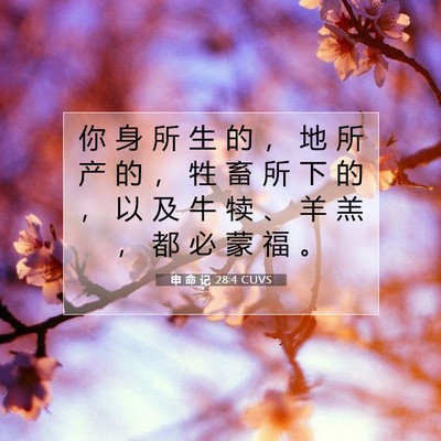Picture 07 - 申 命 记 28:4 CUVS - 你 身 所 生 的 ， 地 所 产 的 ， 牲 - Bible Verse Picture