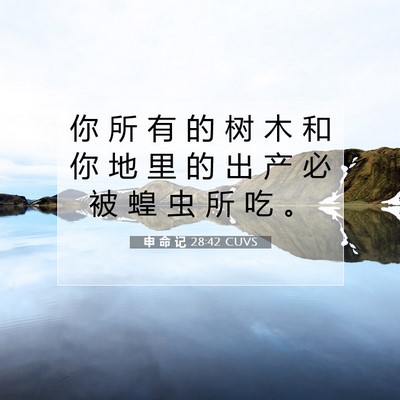 Picture 07 - 申 命 记 28:42 CUVS - 你 所 有 的 树 木 和 你 地 里 的 出 - Bible Verse Picture