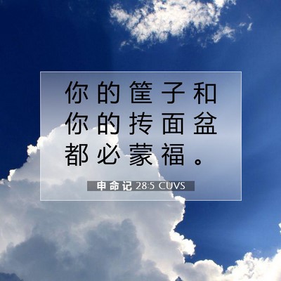 Picture 07 - 申 命 记 28:5 CUVS - 你 的 筐 子 和 你 的 抟 面 盆 都 必 - Bible Verse Picture