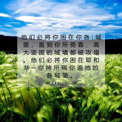 Picture 07 - 申 命 记 28:52 CUVS - 他 们 必 将 你 困 在 你 各 } 城 里 ， - Bible Verse Picture