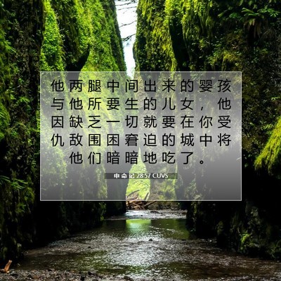 Picture 07 - 申 命 记 28:57 CUVS - 他 两 腿 中 间 出 来 的 婴 孩 与 他 - Bible Verse Picture