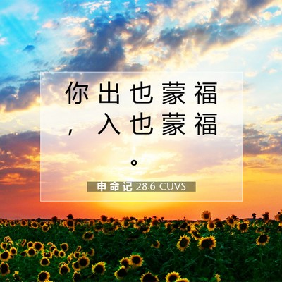 Picture 07 - 申 命 记 28:6 CUVS - 你 出 也 蒙 福 ， 入 也 蒙 福 - Bible Verse Picture