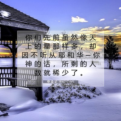 Picture 07 - 申 命 记 28:62 CUVS - 你 们 先 前 虽 然 像 天 上 的 星 那 - Bible Verse Picture