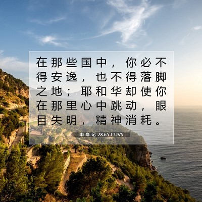 Picture 07 - 申 命 记 28:65 CUVS - 在 那 些 国 中 ， 你 必 不 得 安 逸 - Bible Verse Picture