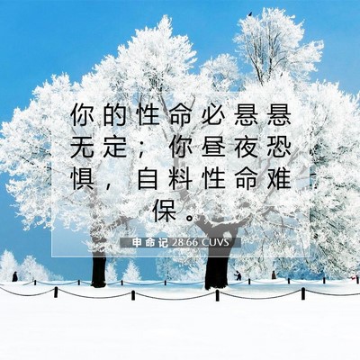 Picture 07 - 申 命 记 28:66 CUVS - 你 的 性 命 必 悬 悬 无 定 ； 你 昼 - Bible Verse Picture