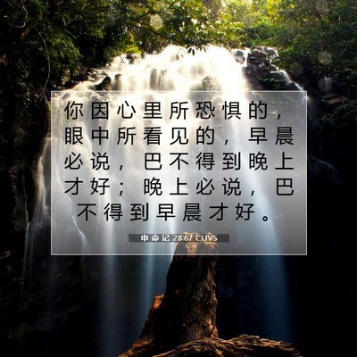 Picture 07 - 申 命 记 28:67 CUVS - 你 因 心 里 所 恐 惧 的 ， 眼 中 所 - Bible Verse Picture