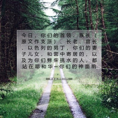 Picture 07 - 申 命 记 29:10 CUVS - 今 日 ， 你 们 的 首 领 、 族 长 （ - Bible Verse Picture